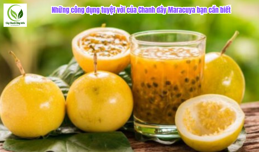 Những công dụng tuyệt vời của Chanh dây Maracuya bạn cần biết