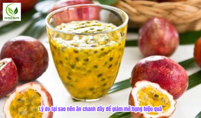 Lý do tại sao nên ăn chanh dây để giảm mỡ bụng hiệu quả